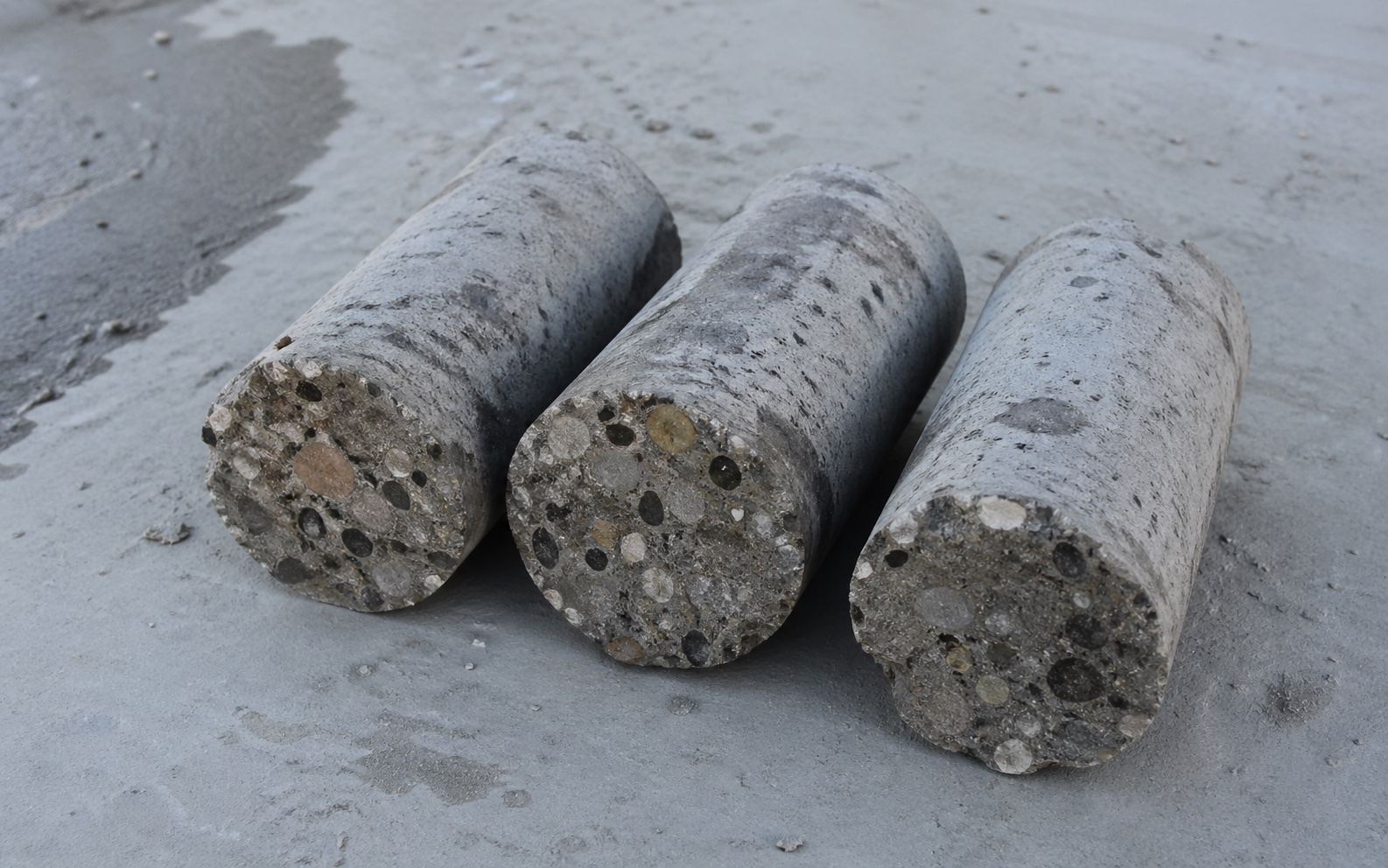 Three extracted concrete cores laid on a slab showing aggregate composition